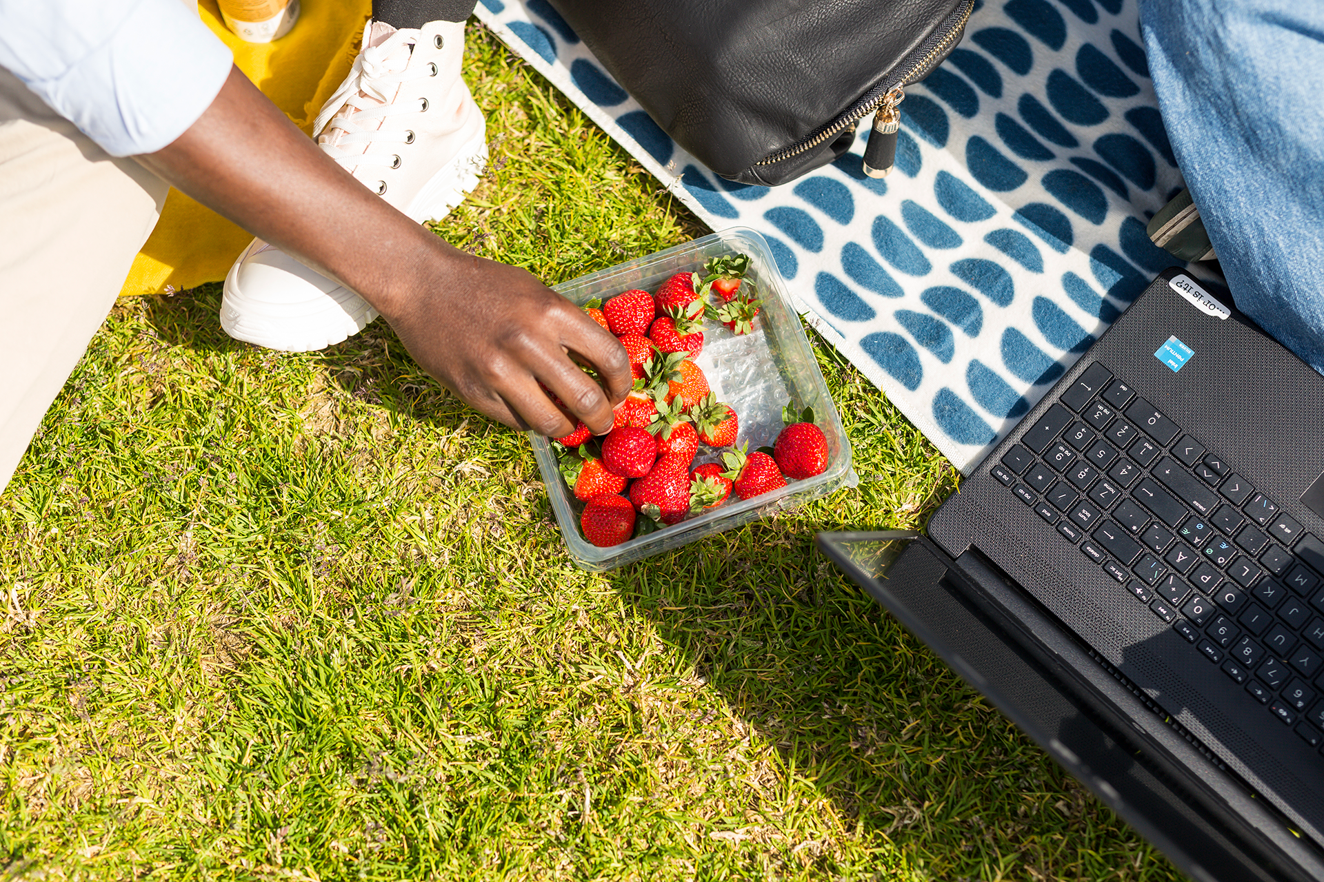 tietokone, mansikoita, käsi, ruohikko